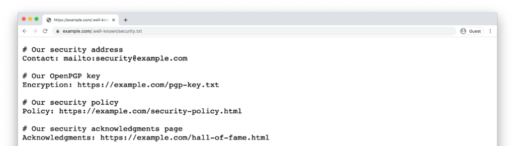 Beispiel für den Inhalt einer Security.txt Datei.